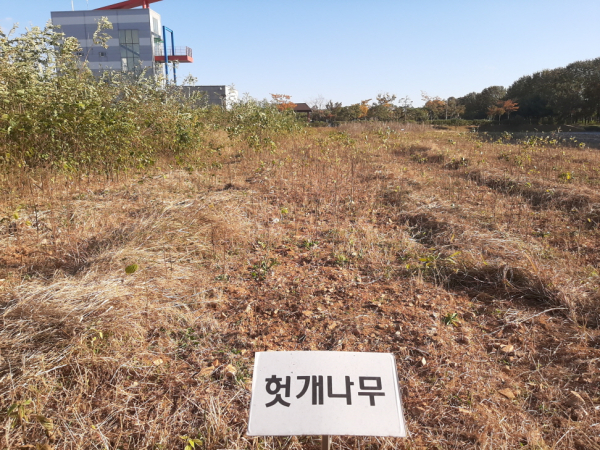 밀원식물 생산포 전경