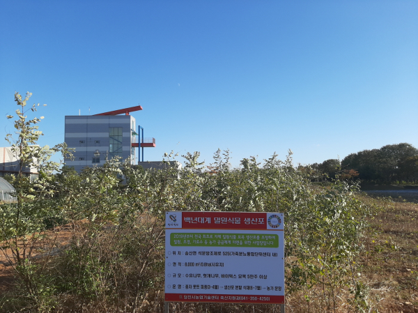 밀원식물 생산포 전경