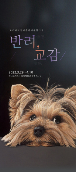 ‘반려(伴侶) & 교감(交感)’ 포스터