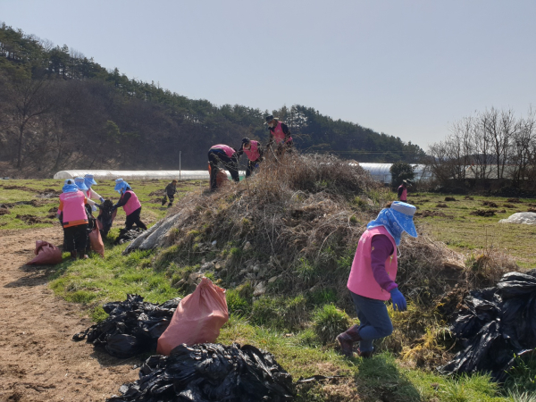 29일, 유성구 성북동을 찾아 농촌 일손돕기와 영농폐기물 수거활동 모습