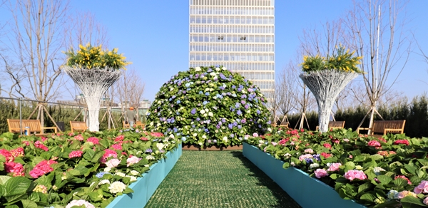 대전신세계 하늘공원 봄꽃정원 모습.