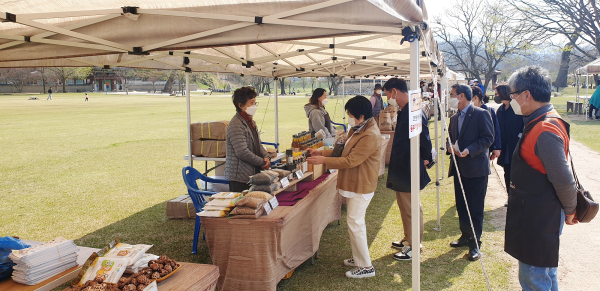 지난 2021년 해미읍성장터에서 관광객이 농산물을 구경하고 있다.