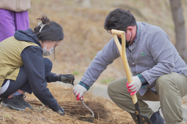 제77회 식목일 기념 수목 600주 식재 행사 모습