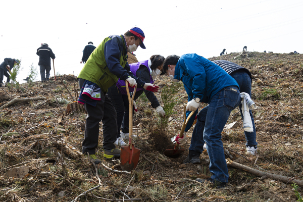 맹정호 서산시장이 5일 팔봉면 호리 321-4번지 일원에서 식목일 행사를 열고 주민들과 나무를 심는 모습