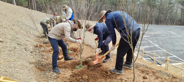 한국산림복지진흥원 직원들이 5일 충남 보령시 성주면 국립기억의숲에서 열린 ‘제77회 식목일 기념 수목 식재 행사’에 참여해 나무를 심고 있다