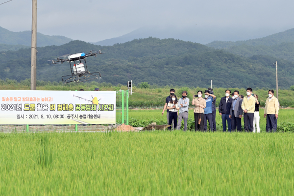 벼 병해충 항공(드론) 공동방제 시연 모습