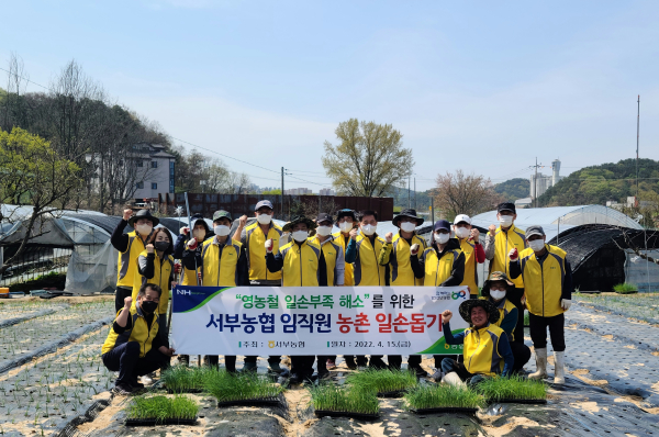 서부농협, 영농철 일손부족 해소를 위한 농촌일손돕기