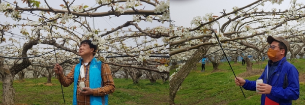 (좌) 로컬투데이 주영욱 기자, (우) 뉴스041 조성현 기자
