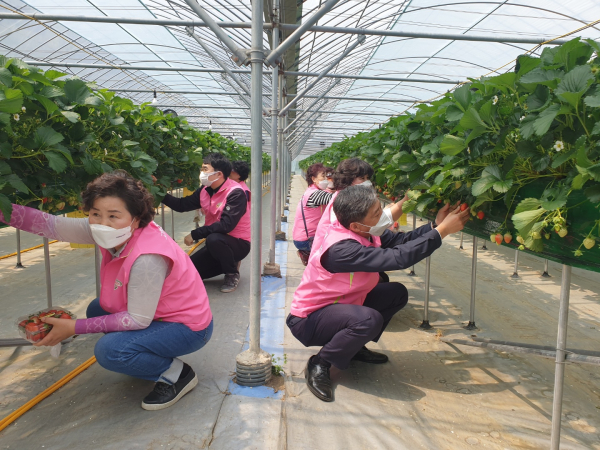 21일 대전시 유성구 농촌체험마을을 방문 농촌체험 프로그램 참가 모습