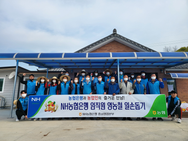 여운철 NH농협은행 충남영업본부장(오른쪽 다섯번째)과 직원들은 청양군 화성면 수정리마을을 찾아 농촌일손돕기 봉사활동 단체사진