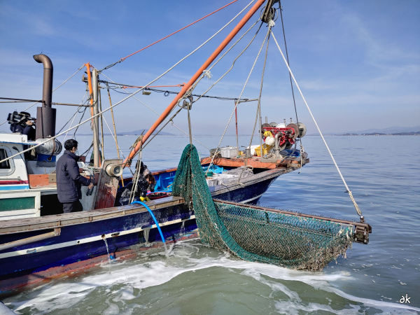 천수만 새조개장비/충남도 제공