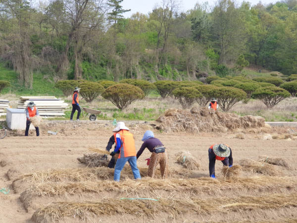 충남 금산군 군북면 외부리 소재 농가를 방문하여 볍씨 모판 작업 및 고구마 멀칭등 농촌일손돕기 실시