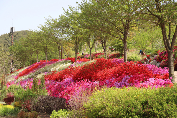 삼선산수목원 전경