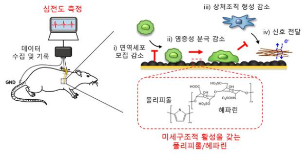 폴리피롤/헤파린 전극 모식도
