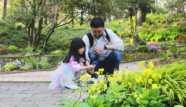 천리포수목원에서 아빠와 식물을 관찰하는 어린이