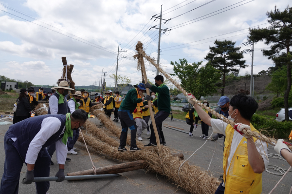 기지시줄다리기 큰 줄 제작 사진