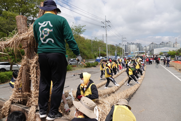기지시줄다리기 큰 줄 제작 사진