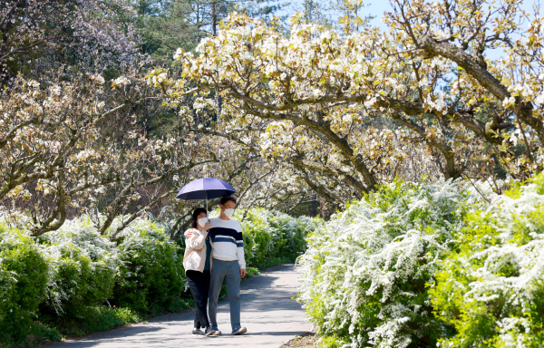 무궁화수목원 전경