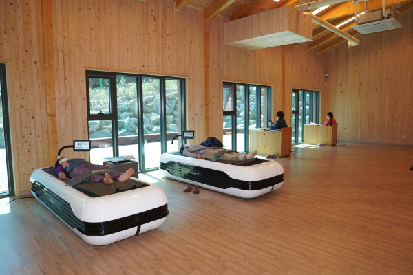 치유의 숲 프로그램에 참여한 시민 모습