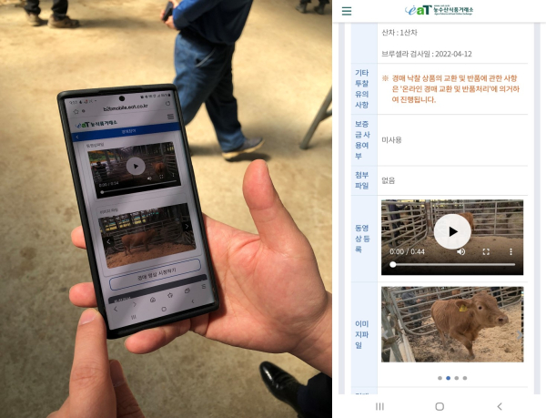 온라인 경매하는 모습