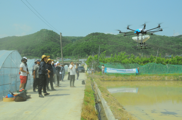 드론 직파 현장 시연회 개최 모습