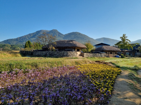 외임민속마을 전경