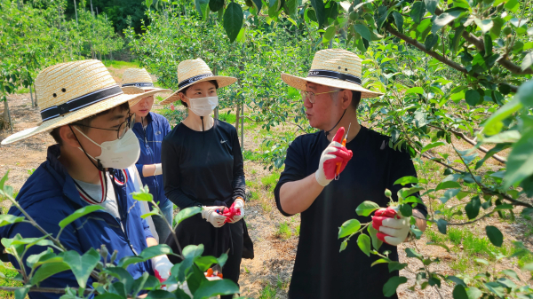 봄철 농촌일손돕기 행사 모습