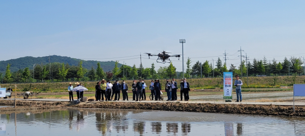 유형별 벼 직파재배 현장연시회 개최