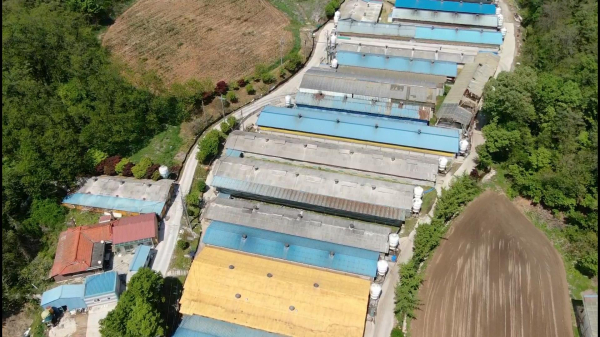 드론을 활용한 방역 점검 사진