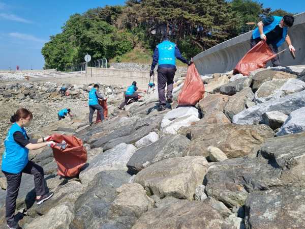 지난 24일 송악읍 안섬포구 일대에서 해양환경정화 활동을 실시 모습