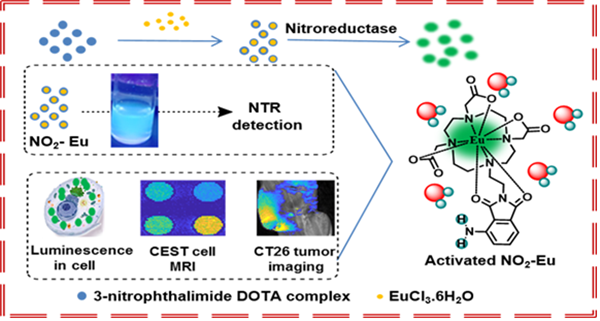 이미징 프로브의 구조·원리 및 이중모드 이미징 결과