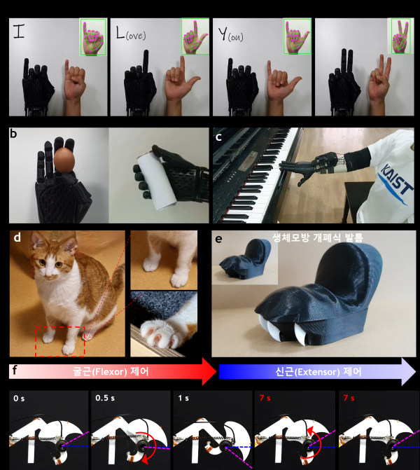 구리 나노와이어가 표면 성장된 형상기억합금 인공근육이 적용된 의수 및 생체모방 로보틱스.