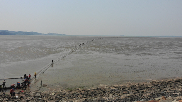 대천방조제로와 해안도로 앞 갯벌에 스마트 안전 인프라 조성