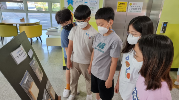 새뜸초 식빵실험 모습