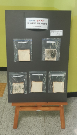 새뜸초 식빵실험 모습