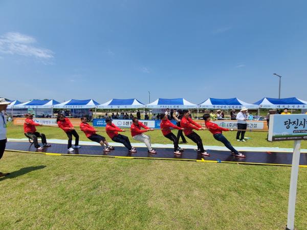 기지시줄다리기 시연 사진