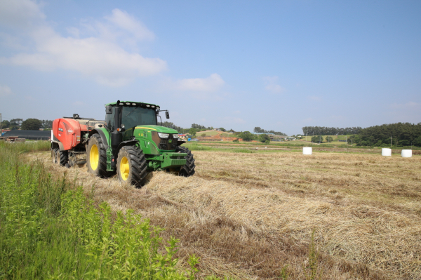 사료작물 수확 모습.