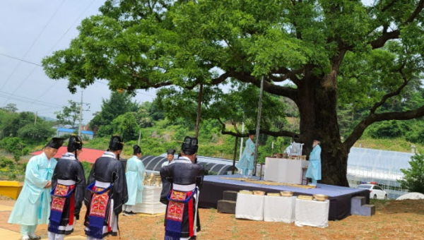 회화나무와 함께하는 송산 안녕기원제 개최 모습