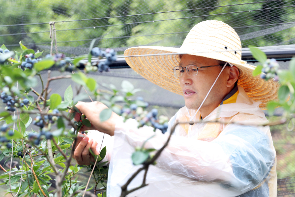 김한영 이사장이 14일 충북 영동군 금강모치마을을 방문해 농촌 일손돕기를 시행하고 있다