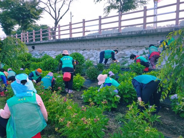 유구색동수국정원 환경정화 활동