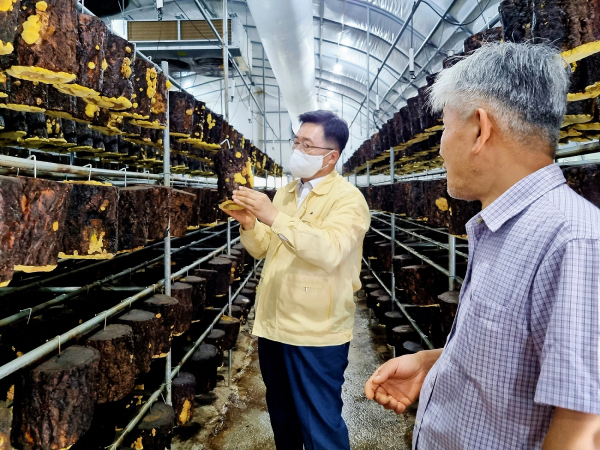 버섯놀이터 변산농장 방문 현장 사진 * 한국농수산식품유통공사 김춘진 사장(좌측), 김시환 버섯놀이터 변산농장 사장(우측)