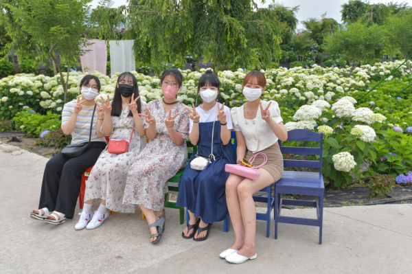 ‘제1회 공주 유구색동수국정원 꽃축제' 현장 스케치