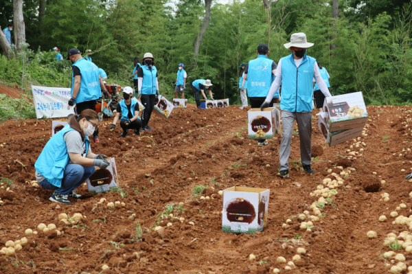 직접 캔 감자 180박스 전량 수매 후 복지시설 전달
