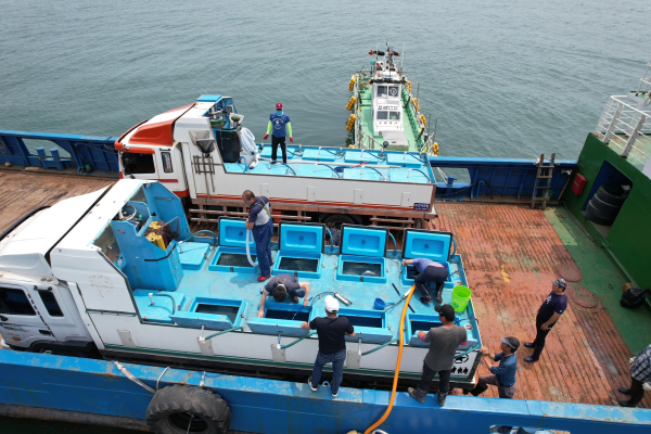 22일 오천면 원산도 및 삽시도 해상에서 꽃게 종자 118만 마리를 방류