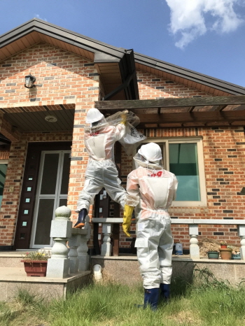 보령소방서 벌집 제거 모습