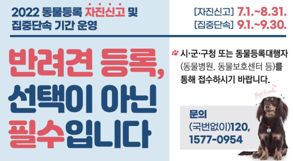 동물등록 자진신고 홍보 포스터
