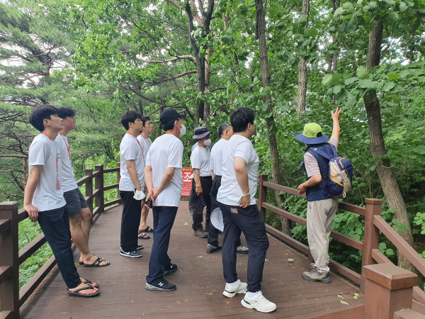 의료·소방인 고객이 산림치유원 주요 프로그램 중 하나인 데크로드 숲산책에 참여하여 치유지도사의 숲해설을 듣고 있다.