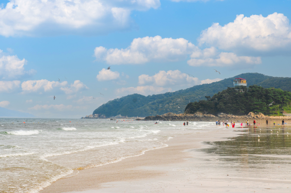 대난지섬 해수욕장