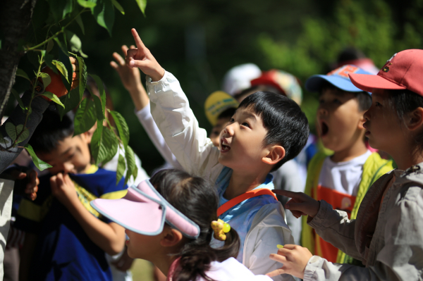 숲체험·교육사업