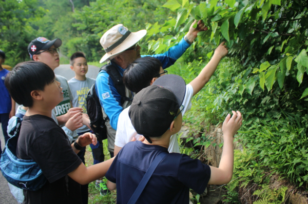 숲해설가 활동 모습